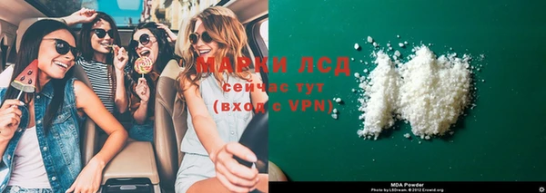 стаф Алексин