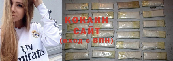 тгк Арсеньев