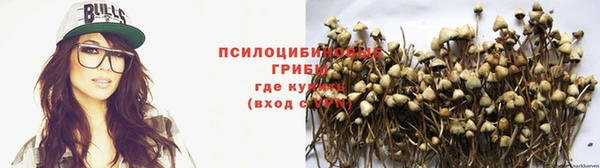 бутират Алзамай