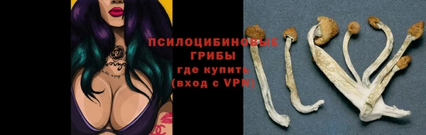 бутират Алзамай