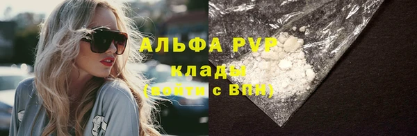 стаф Алексин