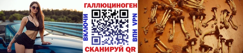 Галлюциногенные грибы мухоморы  MEGA вход  Жуков 